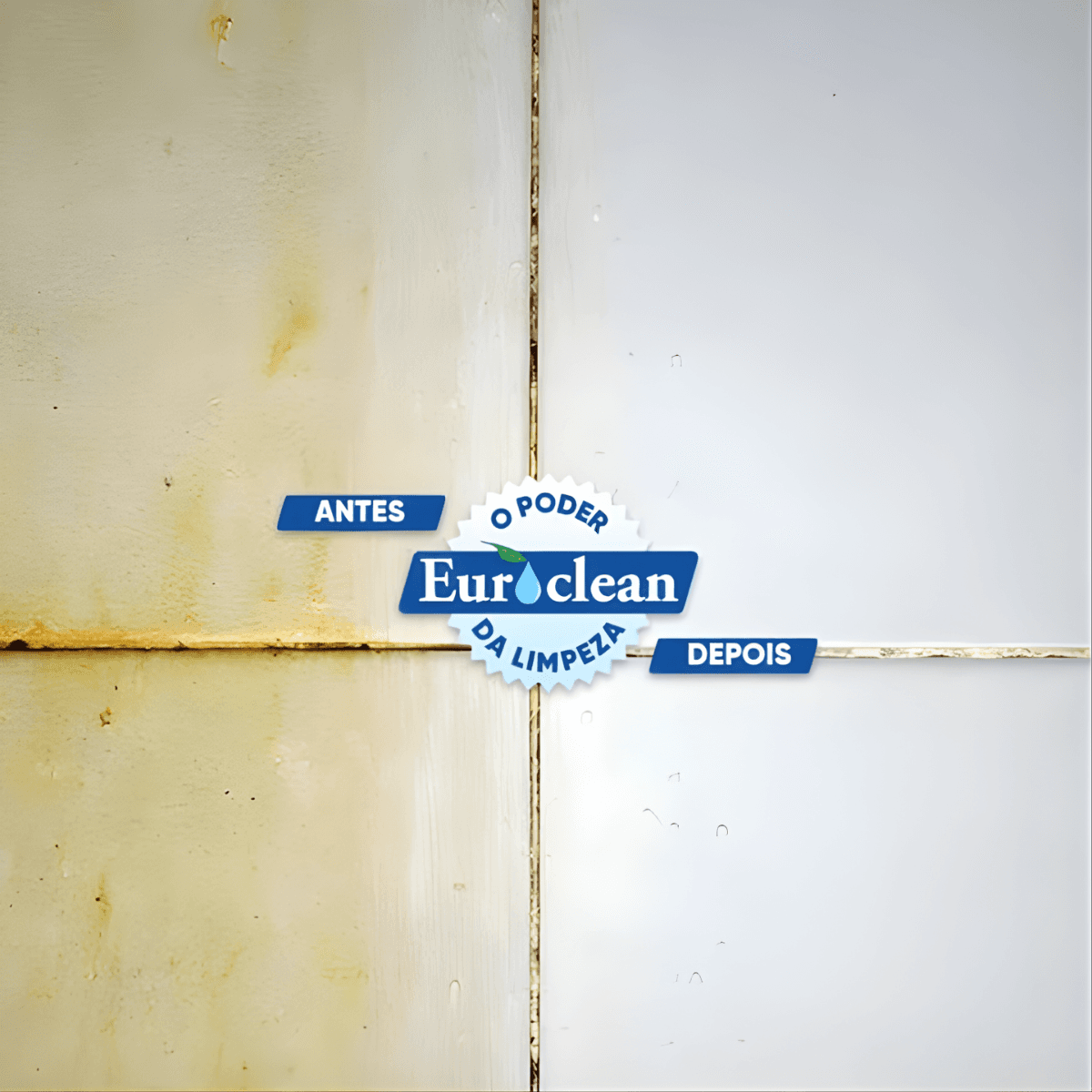 Limpador Desincrustante Limpeza Pesada 5L – Euroclean